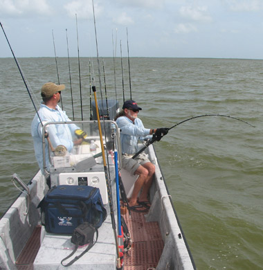 Shark, Tarpon Cobia and Jack Crevalle fishing the Gulf of Mexico from a Panga