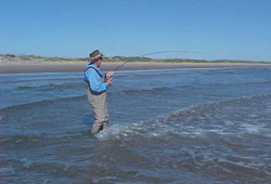 Fly Fishing and Birding Padre Island National Seashore