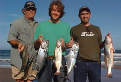 Surf Fishing and Birding Padre Island National Seashore