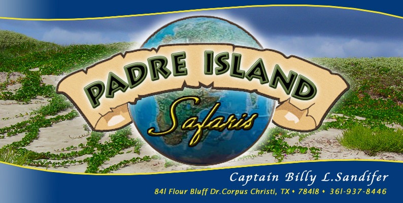 Padre Island Safaris - Fishing, Birding, and Tour Guide for the National Seashore in South Texas - Captain Billy Sandifer 361-937-8446