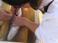 Belly Tagging Trout