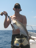Amberjack from a Panga Offshore Fishing Gulf of Mexico