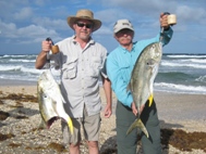 Jack Crevalle