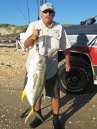 Jack Crevalle