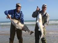 Black and Red Drum