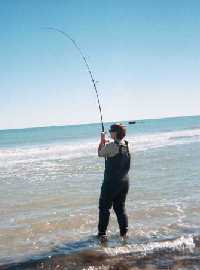 Brenda Hood with a large Redfish