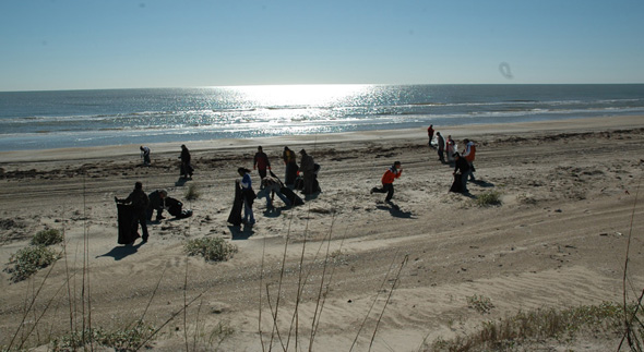 Beach Clean UP 08